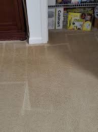 citrusolution carpet cleaning of