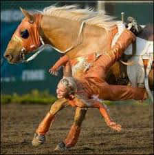 41 Best Cavalia Odysseo Images Show Horses Horses