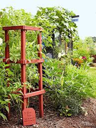 Diy Tomato Cage Ideas Bless My Weeds