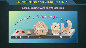 Disinfection And Sterilization