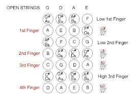 Cogent Fiddle Finger Chart Yumiko Leotard Size Chart Free