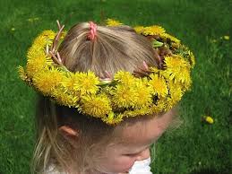 If you'd like to get outside and enjoy spring, making a dandelion crown is an easy diy craft that only takes minutes to do. How To Make A Dandelion Crown Real Food Rn