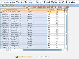 to chart of accounts in sap sap tutorials