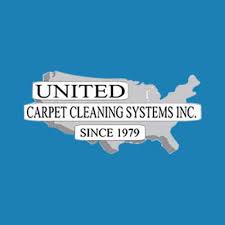 14 best arlington carpet cleaners