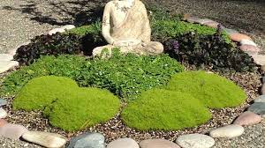 Homemade Zen Garden Low Maintenance