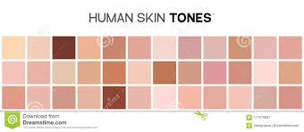 Skin Tone Color Chart Human Skin Texture Color Infographic