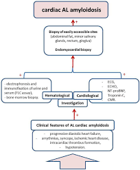 Diagnostic Approach To Light Chain Cardiac Amyloidosis And
