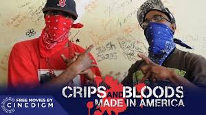 crips and bloods made in america