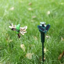 Solar Hummingbird Erfly Gardening
