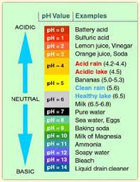 Test The Bodys Ph Are You Alkaline