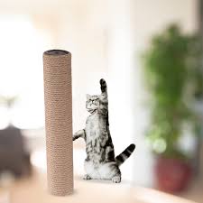cat scratching posts replacement