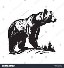 14 128 рез. по запросу «Голова медведя рисунок» — изображения, стоковые  фотографии, трехмерные объекты и векторная графика | Shutterstock