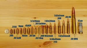 bullet sizes calibres and types out