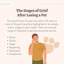 what are the ses of grief for pet loss