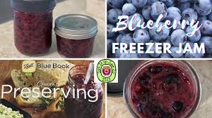 easy blueberry freezer jam