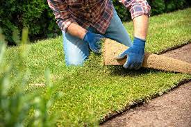 get rid of weeds before laying sod