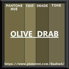 Pantone Seasonal Color Swatch Olive Drab In 2019 Pantone