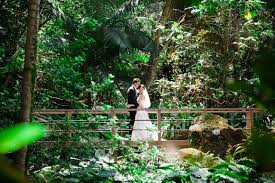 Three on the island of kauai, one on maui, and. Botanical Garden Wedding Ali I Kaua I Weddings
