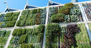 Go Green With Living Walls