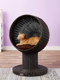 23 cat furniture pieces for a modern