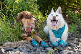 best dog boots shoes for hiking