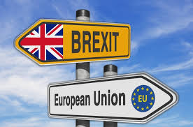 Image result for brexit pro and con