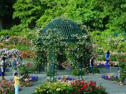6 beautiful botanical gardens to visit