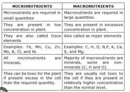 micronutrients in plants