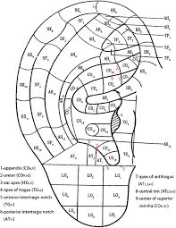 The Auricular Sub Zones And 9 Marked Points Published By The