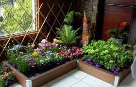 Indoor Garden How To Grow Your Own