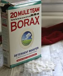 borax ant s testing 5 diffe