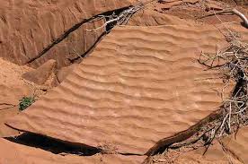 What Are Ripple Marks Geology Page