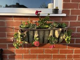 How To Choose Plant Windowboxes Troughs