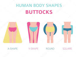 Which one is your favorite? Human Body Shapes Woman Buttocks Types Set Vector Illustration Premium Vector In Adobe Illustrator Ai Ai Format Encapsulated Postscript Eps Eps Format
