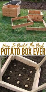 This article explains much of what the benefits are to this method of growing. How To Build The Best Potato Box Ever Shtfpreparedness Potato Box Growing Vegetables Potato Gardening