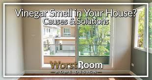 vinegar smell in your house causes