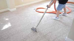 steps for hot water extraction of carpets