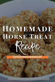 homemade horse treats