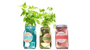 modern sprout garden jar three pack