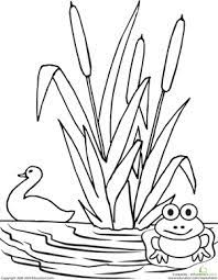 Top 20 ponds coloring pages if you. Color The Pond Worksheet Education Com Coloring Pages Bird Coloring Pages Coloring Pages Nature