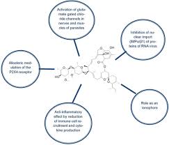 Maybe you would like to learn more about one of these? Ivermectin As A Potential Drug For Treatment Of Covid 19 An In Sync Review With Clinical And Computational Attributes Springerlink