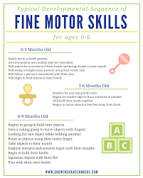 fine motor skills activity packet for