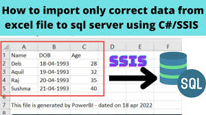 import custom excel file in sql server