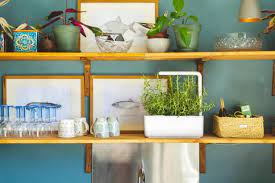 12 best indoor herb garden kits 2022
