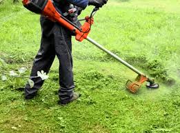 Cheap Lawn Mowing Services Lawn Cutting And Maintenance
