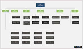 Company Org Chart Or Company Organizational Chart Template