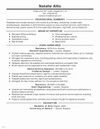 Resume Examples For Job Hoppers Awesome Photography Job