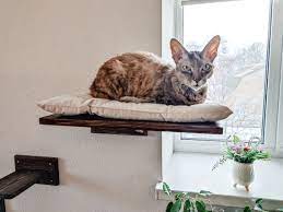 Cat Bed Window Cat Perch Cat Bed Wall