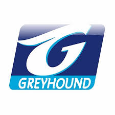 Bildergebnis für Greyhound South Africa