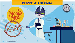 Unfortunately, some unscrupulous honey packers will add corn syrup to the honey. Unbiased Meow Mix Cat Food Review 2021 We Re All About Cats
